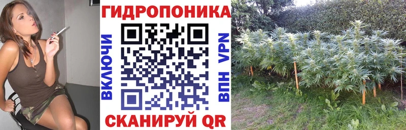 Сколько стоит Дальнереченск A-PVP  Меф мяу мяу  Гашиш 