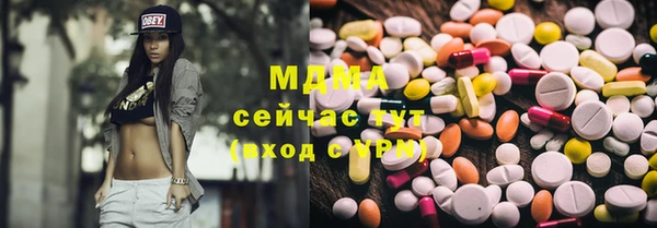 сатива Беломорск