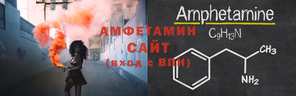 сатива Беломорск