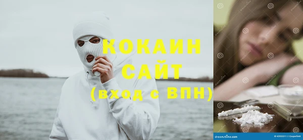 сатива Беломорск