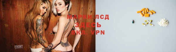 сатива Беломорск