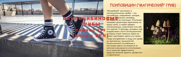 сатива Беломорск