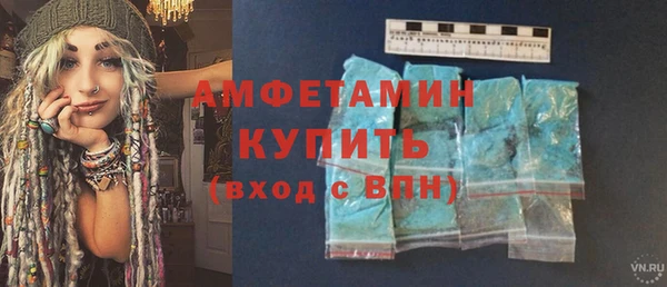сатива Беломорск