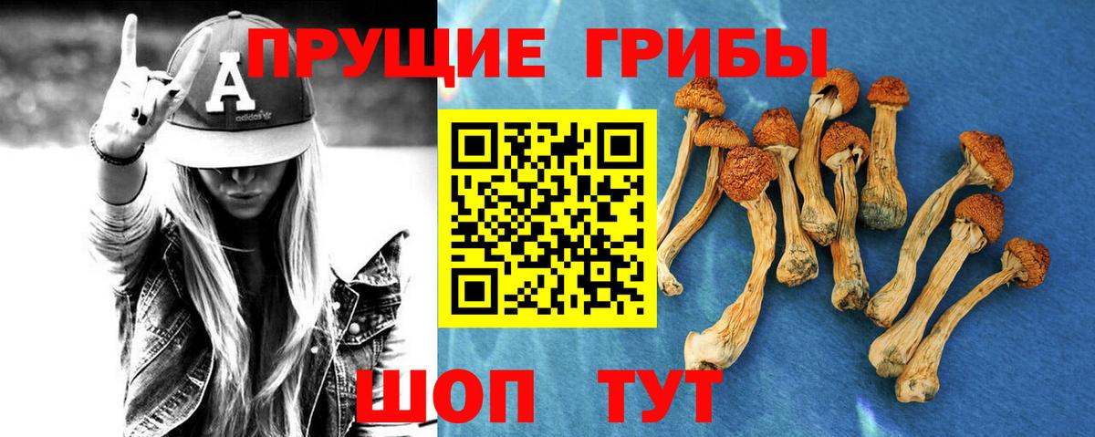 Галлюциногенные грибы MAGIC MUSHROOMS  Вход с VPN  Дальнереченск 