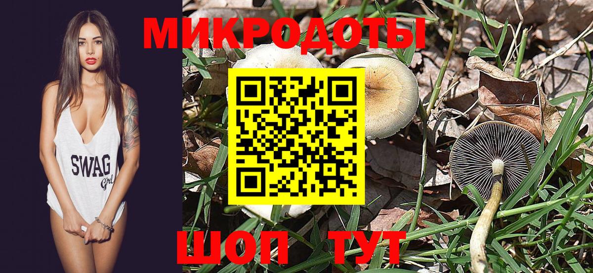 Галлюциногенные грибы Psilocybe  сколько стоит  Дальнереченск 